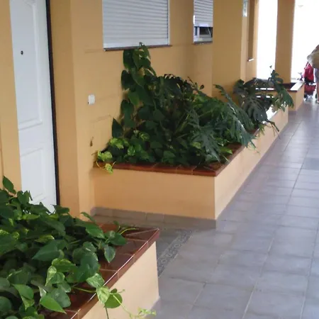 Apartment The Sunset